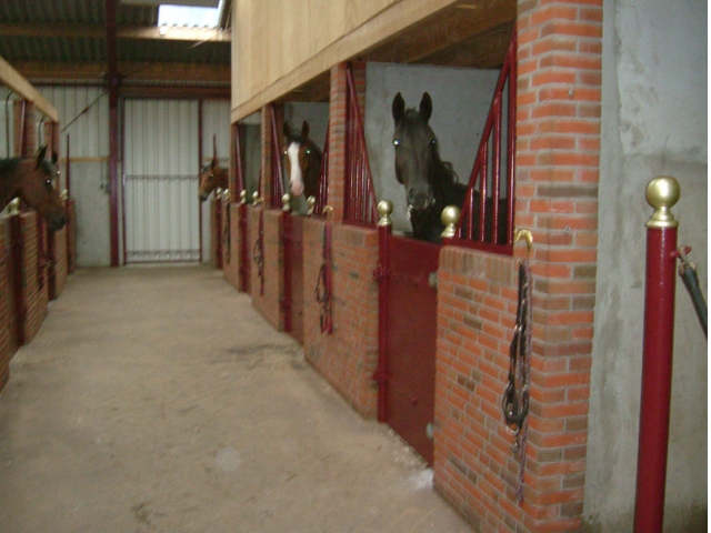 Onze stallen
