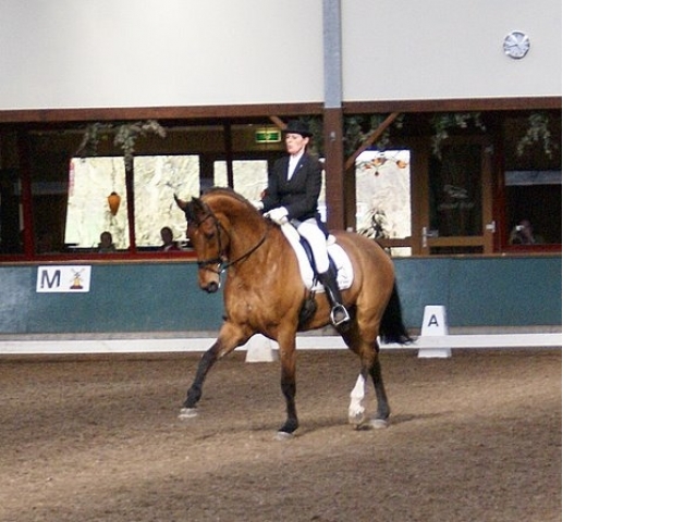 29 maart wedstrijd Vragender